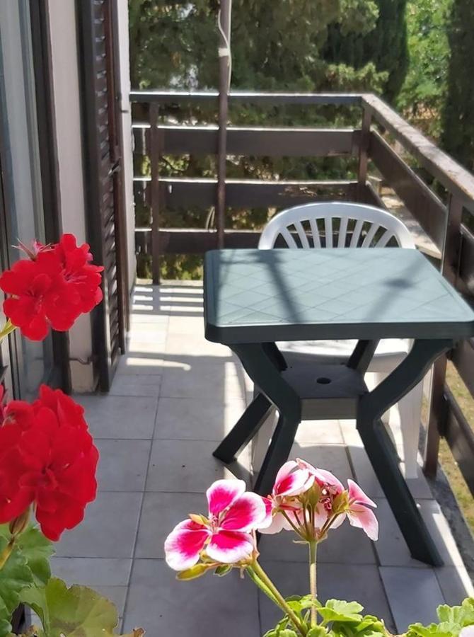 Apartmani Svitlana Sukošan المظهر الخارجي الصورة