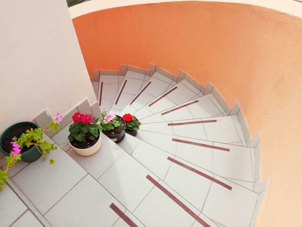 Apartmani Svitlana Sukošan المظهر الخارجي الصورة